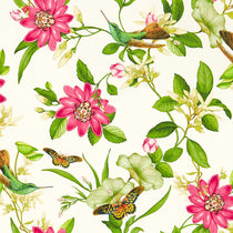 Pink Lotus Ivory Wallpapers